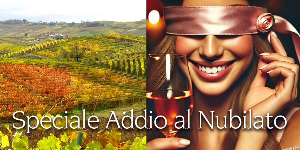 Addio al Nubilato nelle Langhe: Vino, Amicizia e Paesaggi Incantevoli