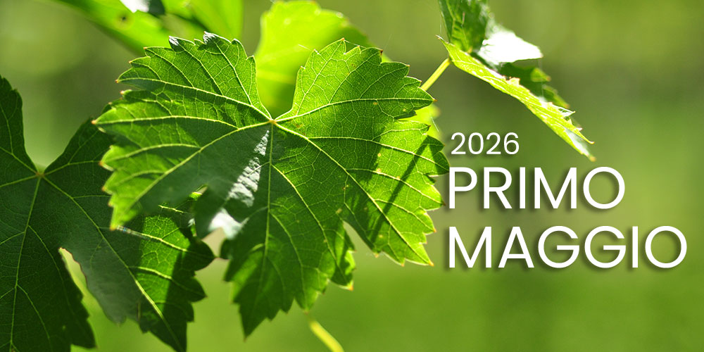 PRIMO MAGGIO 2026 visita in cantina con pranzo nelle Langhe